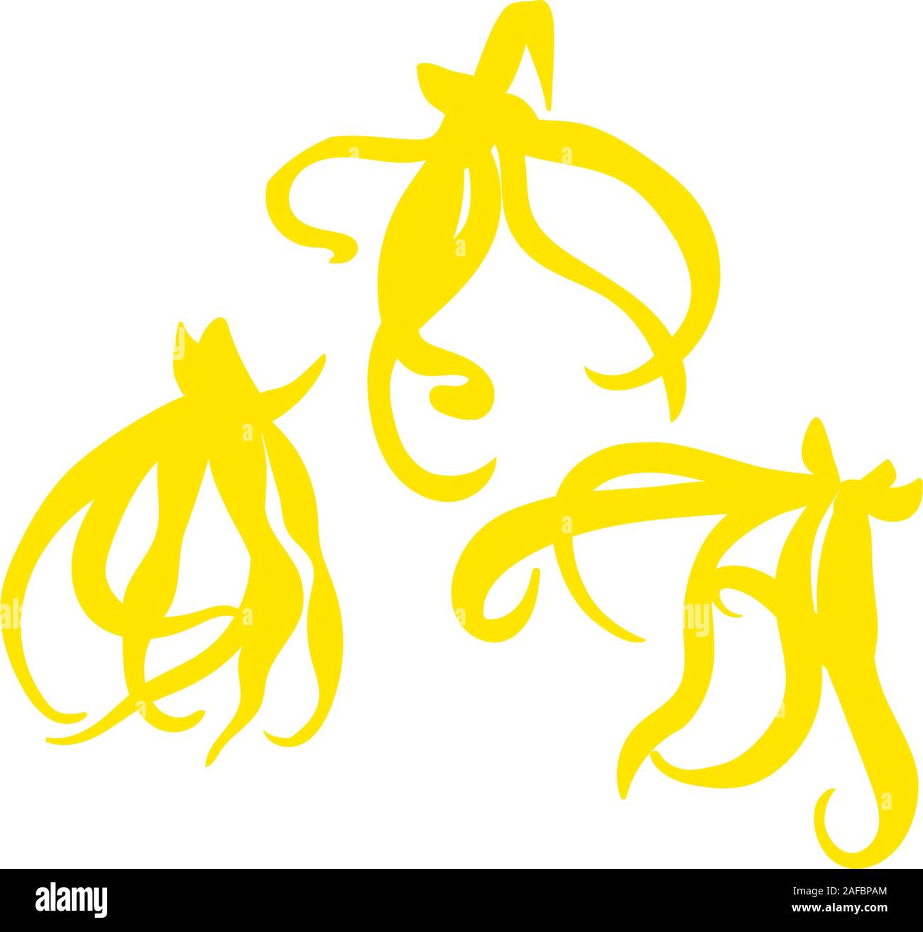 Fleur tropicale - ylang-ylang Cananga . Vector illustration. Télévision Illustration de Vecteur