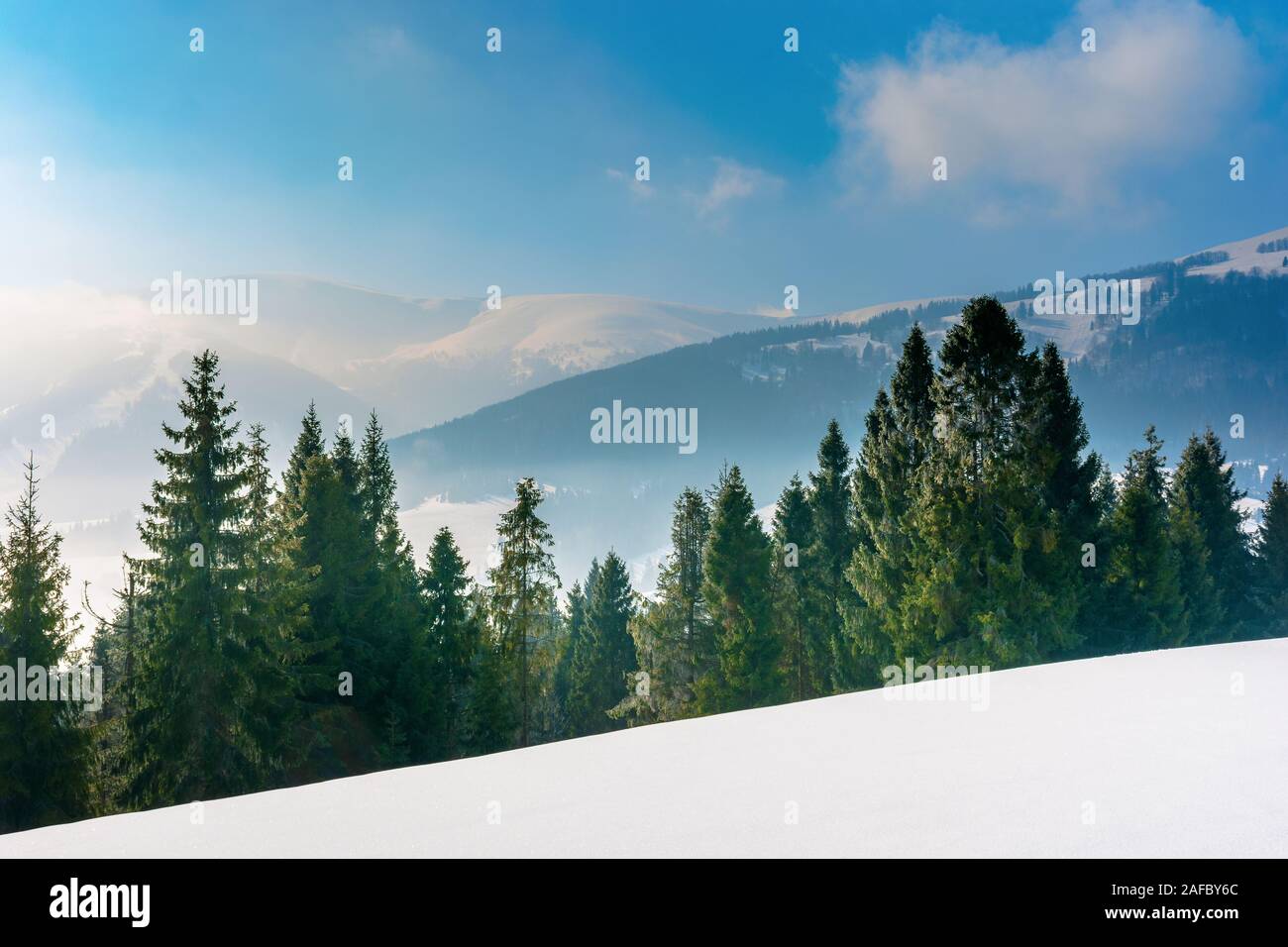 Forêt de sapins sur une montagne couverte de neige prairie. magnifique paysage hivernal avec ridge. superbe temps ensoleillé avec le brouillard et la brume dans la valle Banque D'Images