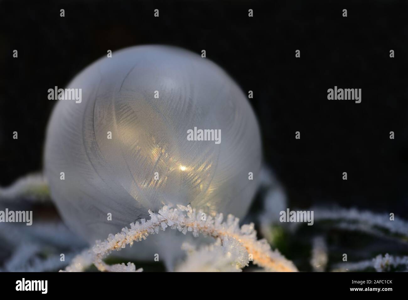 Une bulle de savon sur l'herbe gelée avec des cristaux de glace sur un fond sombre avec un espace réservé au texte Banque D'Images