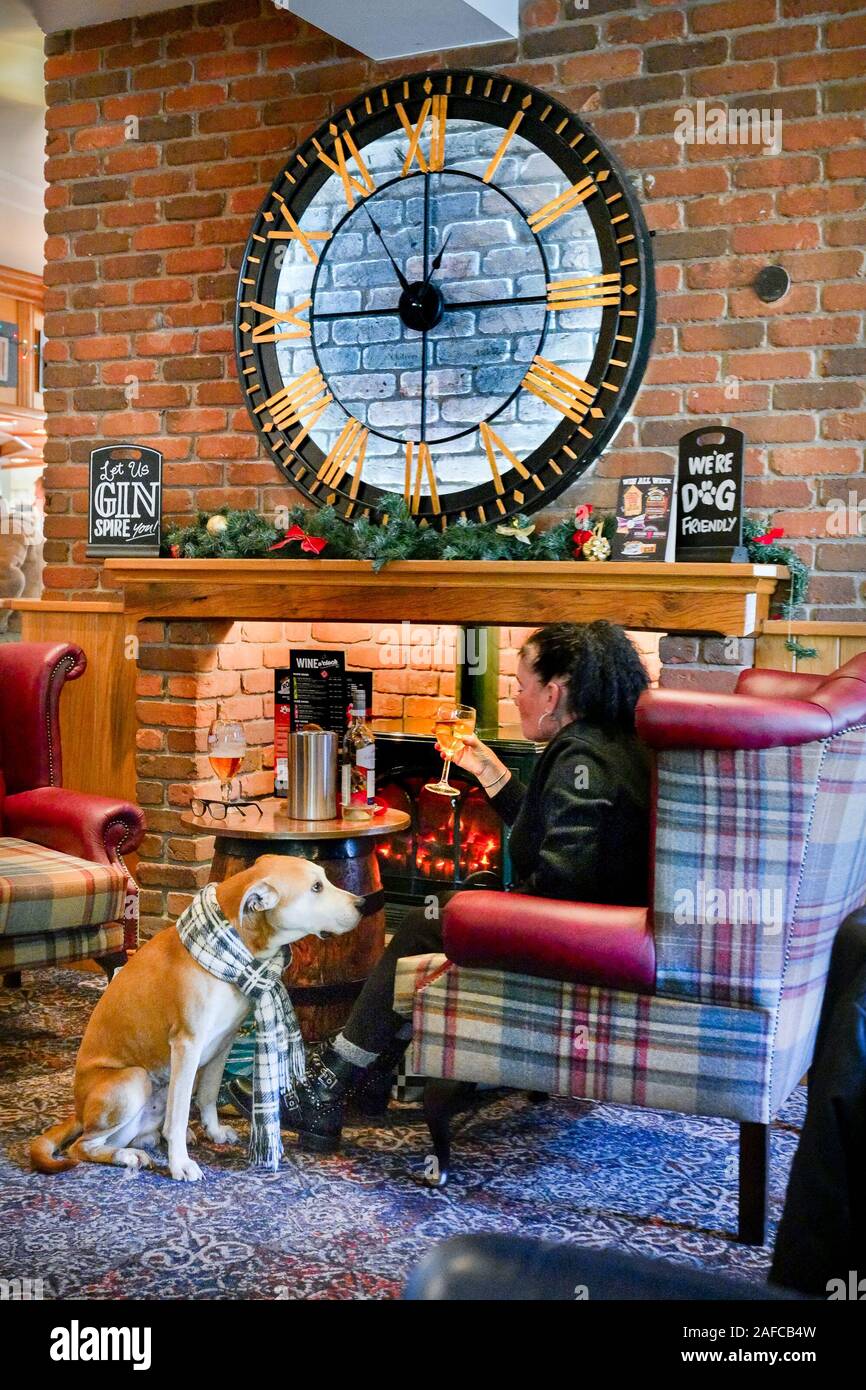 Femme avec chien dans un pub anglais, chien amical. Banque D'Images