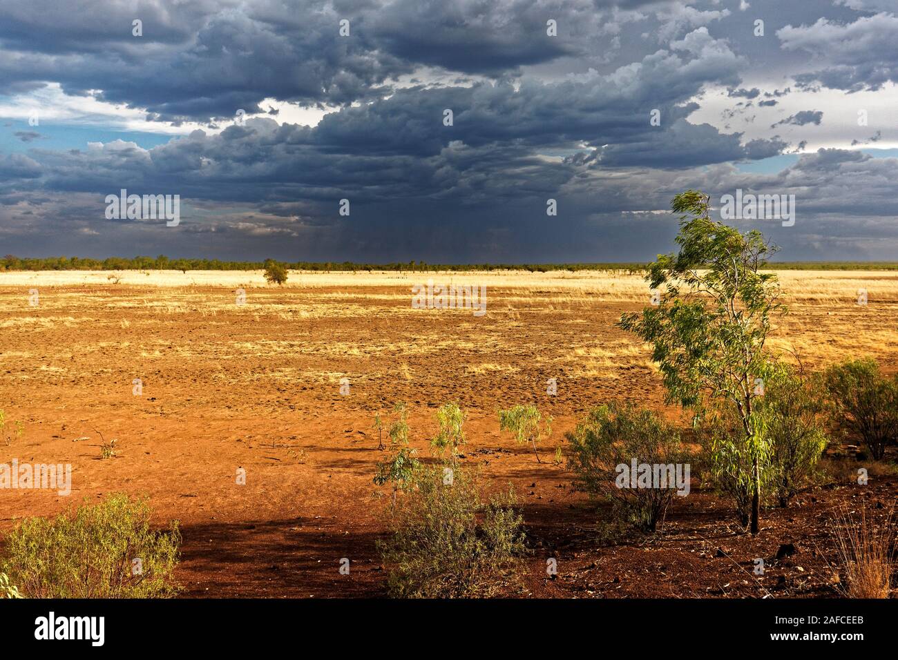 Paysage de savane avec ciel d'orage, West Kimberley, Australie occidentale Banque D'Images