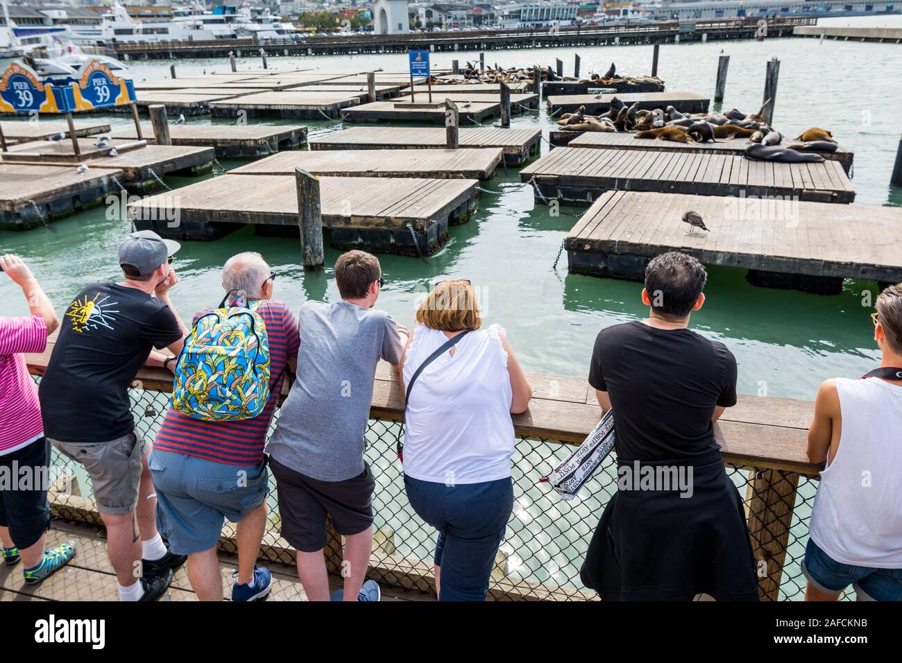 Beaucoup de touristes à regarder les lions de mer ou vous détendre, bronzer et joints d'aboyer sur un quai de la Fisherman's Wharf Pier 39 de San Francisco, Calif. Banque D'Images