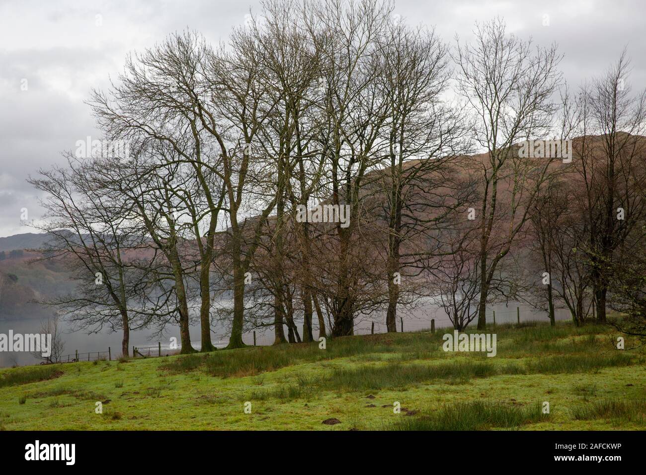 Lac Grasmere sur un brouillard brumeux matin d'hiver, parc national de Lake District, Cumbria, Angleterre Banque D'Images