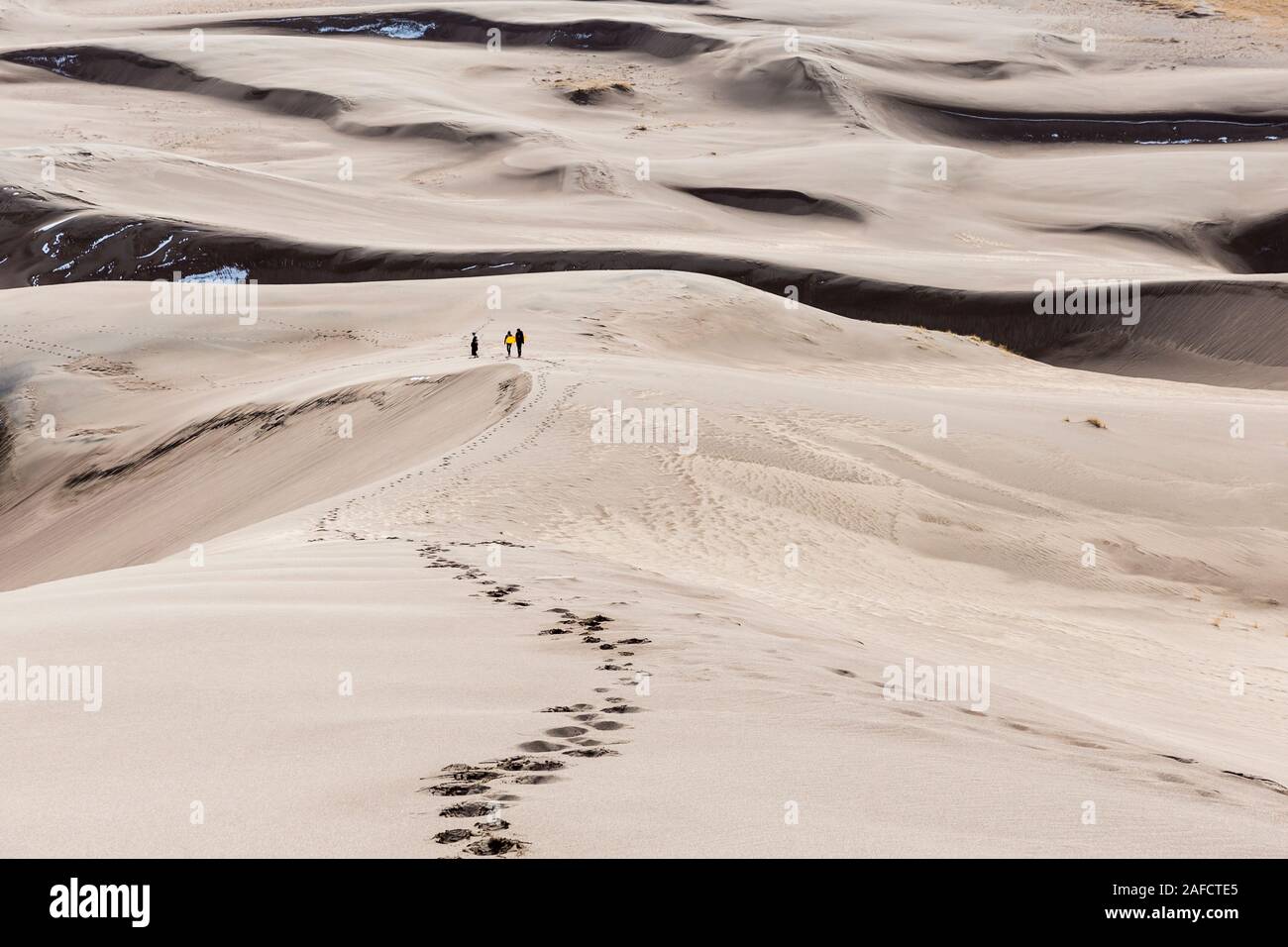 Vue paysage de dunes au Great Sand Dunes National Park en Californie, la plus haute des dunes de sable en Amérique du Nord. Banque D'Images