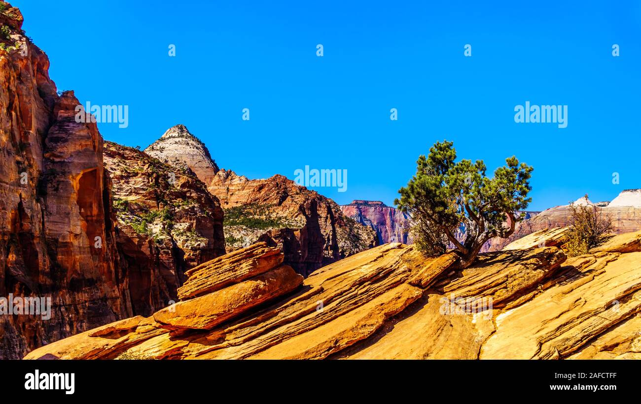 Les montagnes entourant Zion Canyon vue depuis le dessus du Canyon Overlook Trail dans la région de Zion National Park, Utah, United States Banque D'Images