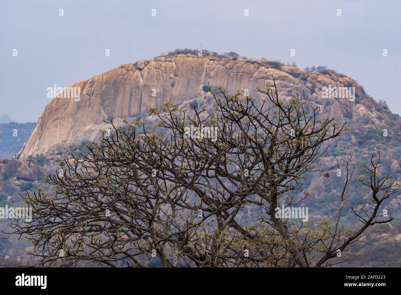 Zimbabwe. Parc national de Matobo, un site classé au patrimoine mondial de l'UNESCO, connu pour son style de granit 'Kopje's (collines rocheuses) et de nombreux arbres et plantes. Banque D'Images