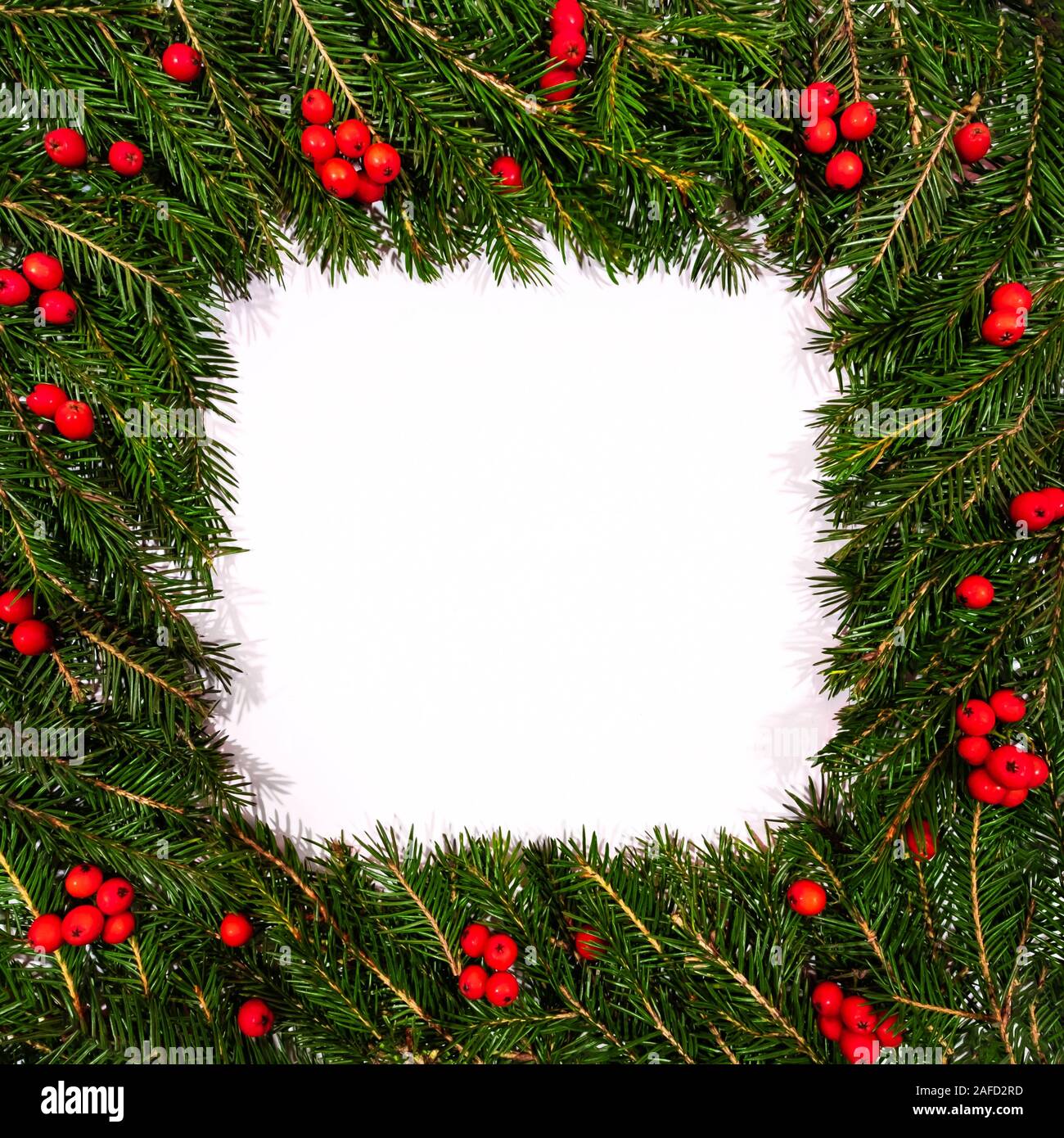 Nouvelle année avec des branches de sapins et les fruits rouges. Célébration des vacances d'hiver. Conifère pin, feuilles, brindilles sur fond blanc. Bo Banque D'Images