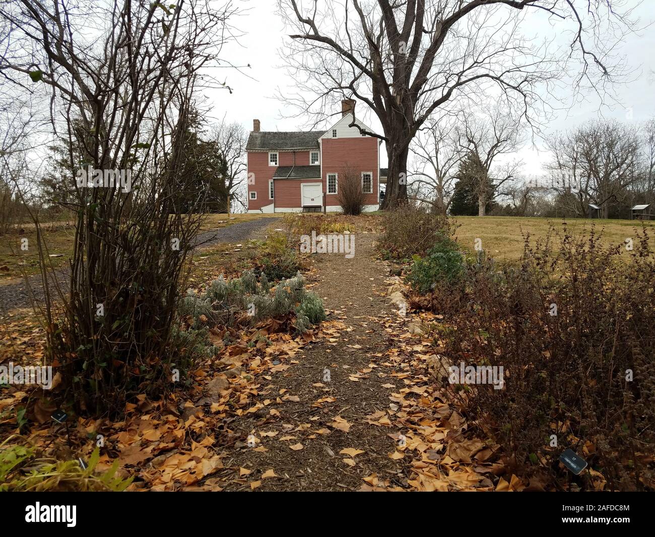 Chemin ou sentier avec les feuilles tombées et maison rouge avec des arbres et des feuilles de ginko Banque D'Images