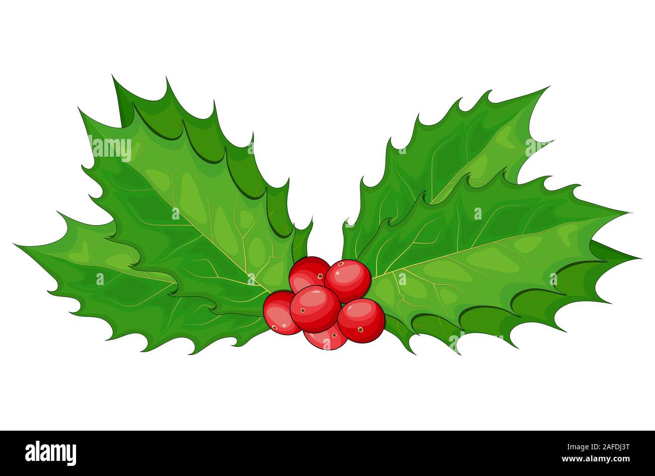 Baie de houx de Noël, feuilles et fruits, symbole, icône du design. Vector illustration d'hiver sur fond blanc. Les rameaux décoratifs, bouquets de GUI Illustration de Vecteur
