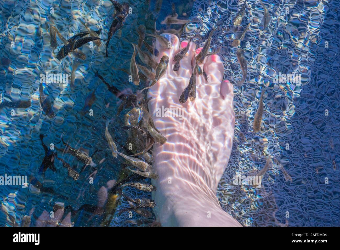 Portrait femme jambe et les pieds dans l'eau dans le lac thermal de Vouliagmeni Athens, Grèce avec des poissons Garra Rufa pédicure Banque D'Images