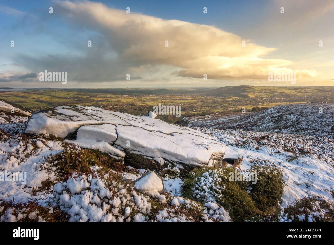 Superbe vue sur le paysage de neige au-dessus de Wharfedale tout en profitant d'une promenade avec le chien Milou, Burley Moor, West Yorkshire, Royaume-Uni Banque D'Images