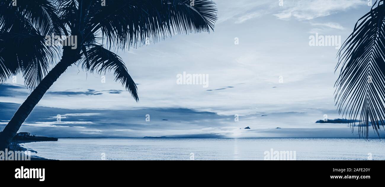Coucher du soleil et des palmiers - nature background.Blue abstract background. Couleur de l'année 2020. Banque D'Images