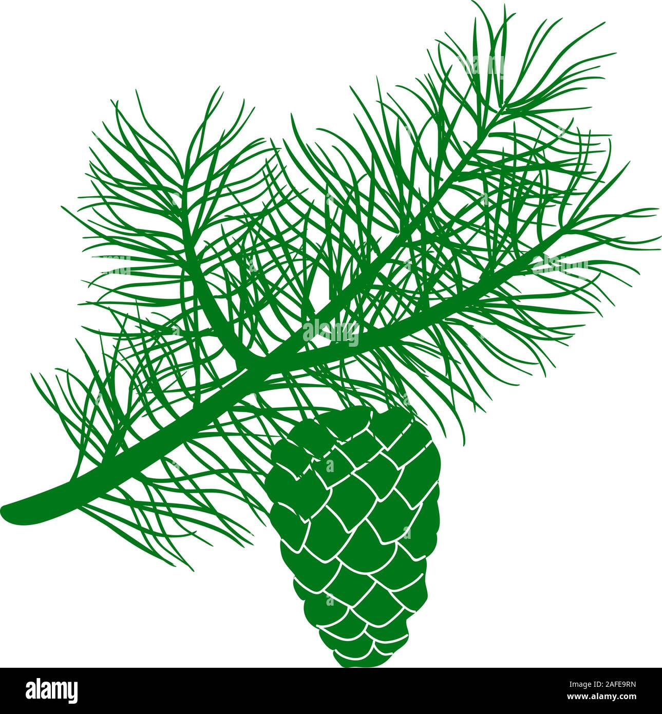 Moelleux et la direction générale de vert cèdre deux cônes. Isolé sur blanc vector illustration Illustration de Vecteur