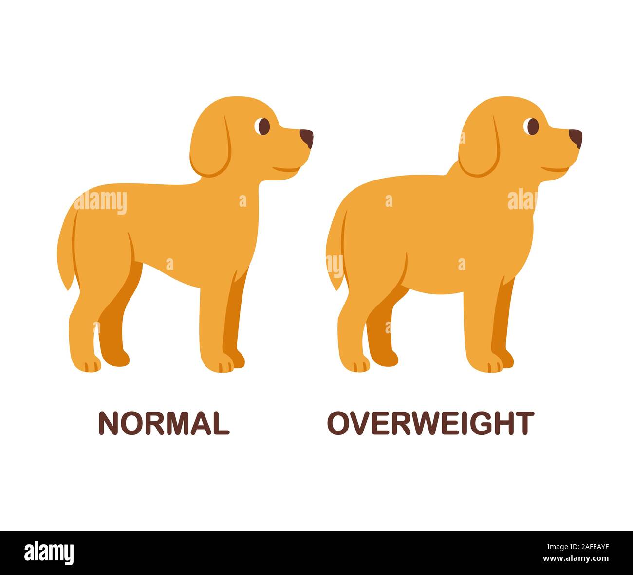 Chien avec un poids normal et l'embonpoint, l'obésité pour animaux de dessin. Fat dog Cute cartoon vector clip art illustration. Illustration de Vecteur