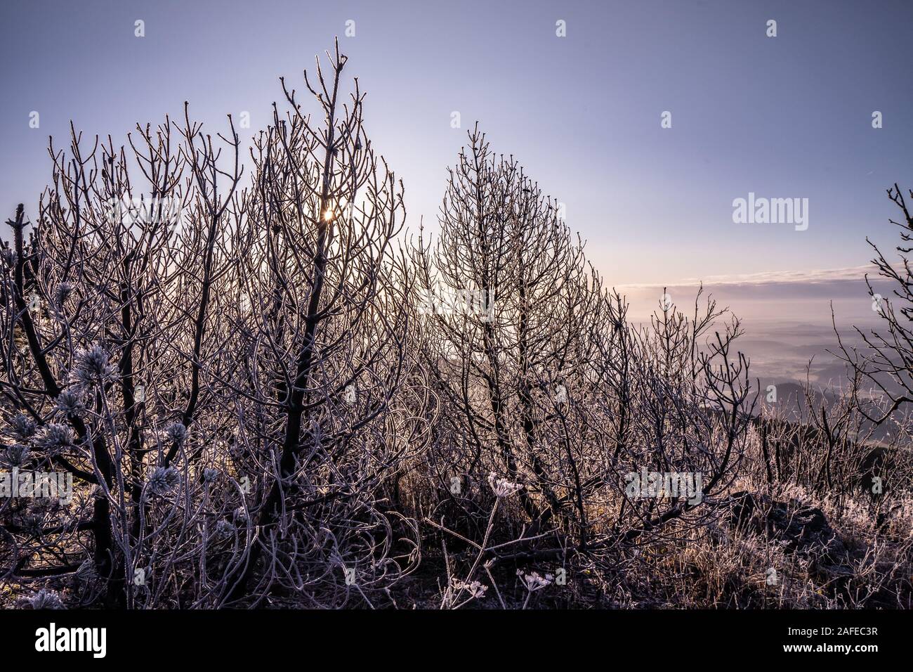 La région de Liberec se trouve en Bohême du nord. Il se compose de trois districts de la partie orientale de la région de la Bohême du Nord et Semily. Banque D'Images