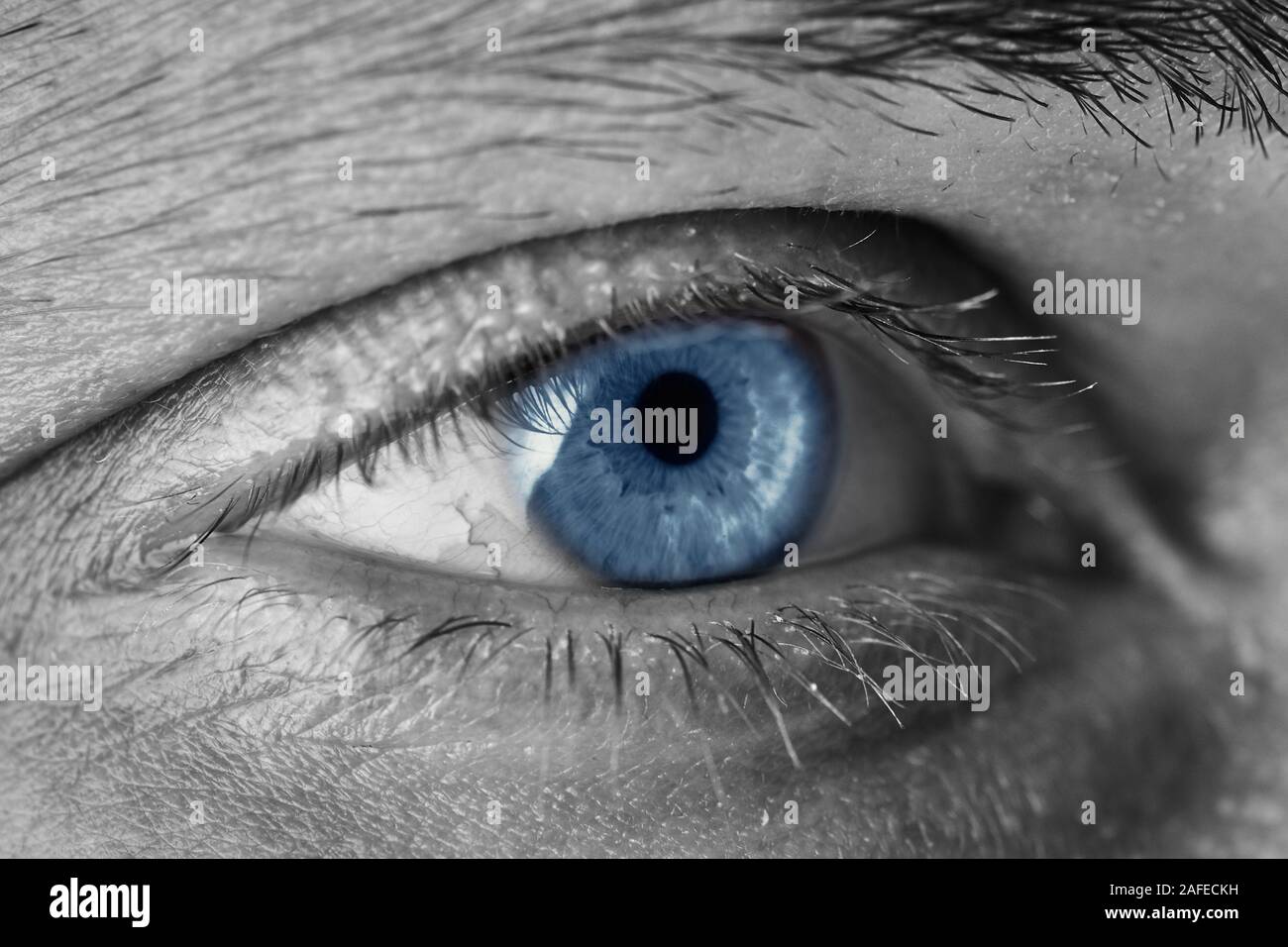 Close-up of a male blue eye, les cils et sourcils en couleur sélective Banque D'Images