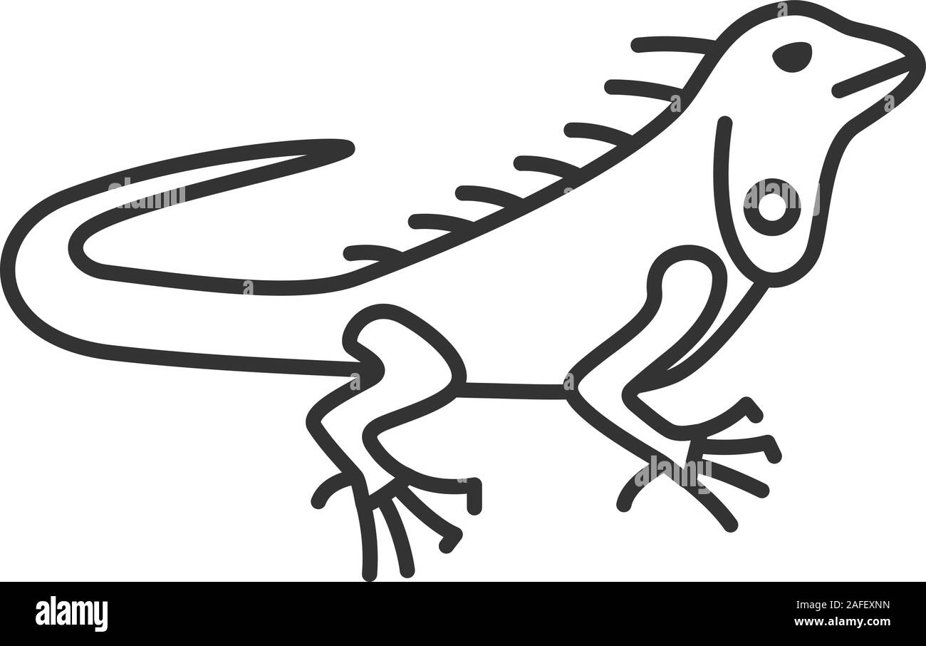 Icône linéaire de l'iguane. Fine ligne illustration. Lézard herbivore. Symbole de contour. Dessin vectoriel aperçu isolés Illustration de Vecteur