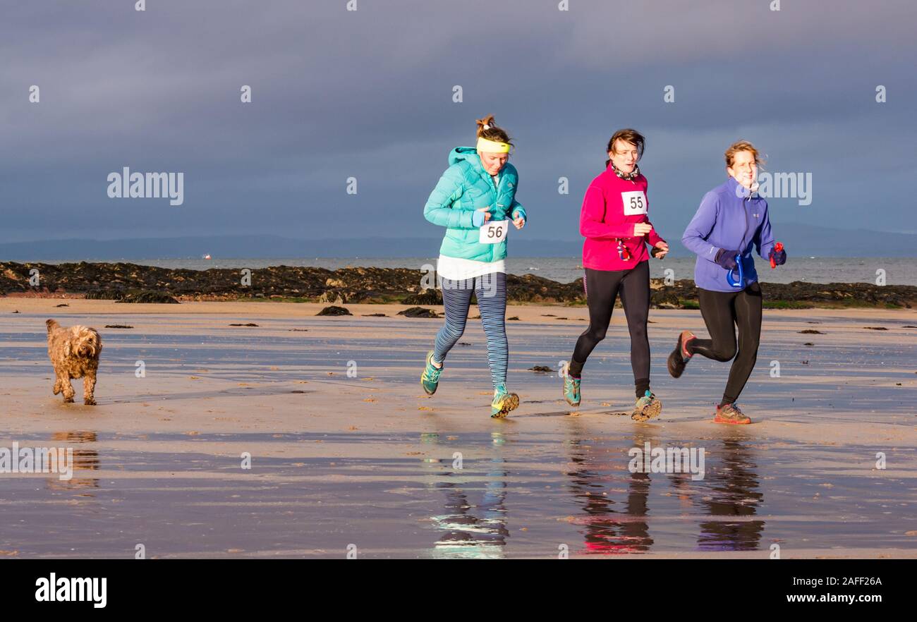 Femmes courir avec les chiens sur beach, North Berwick, East Lothian, Scotland, UK Banque D'Images