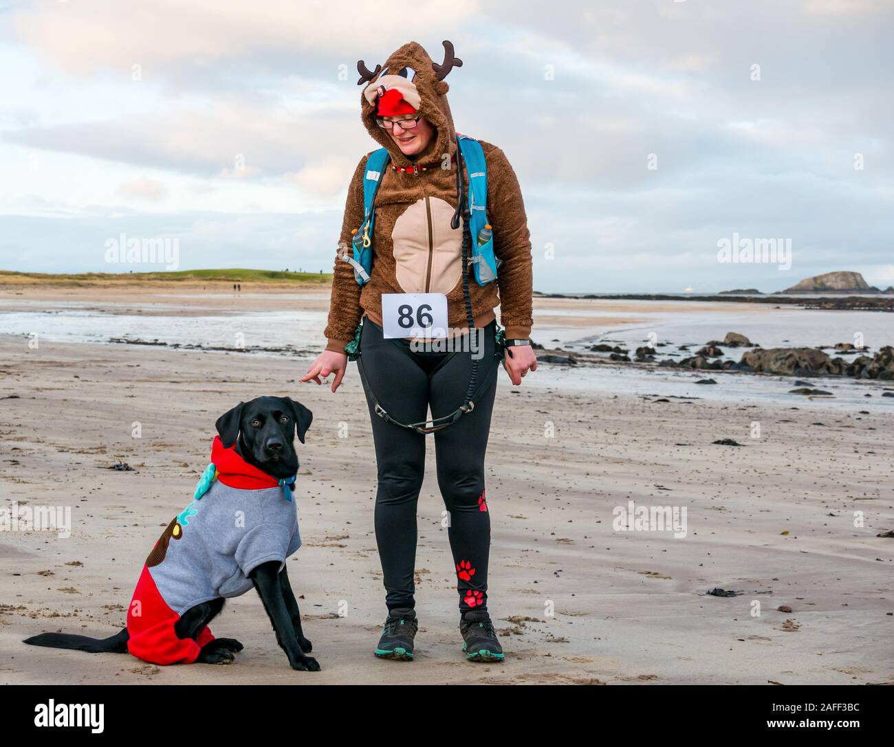 Femme et chien Labrador en costumes de Noël sur beach, North Berwick, East Lothian, Scotland, UK Banque D'Images