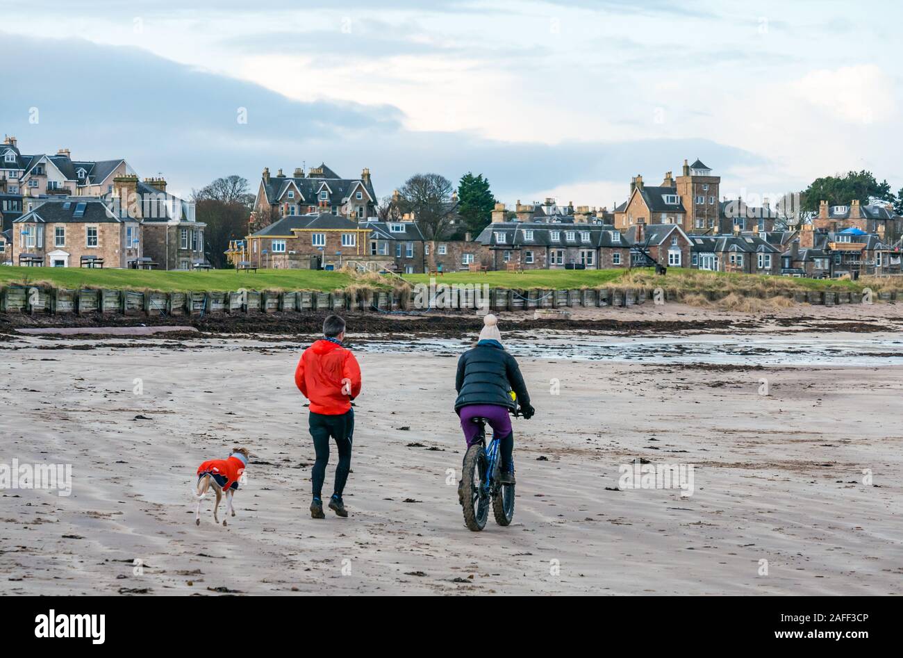 Équitation et vélo femme fat man running avec chien whippet sur beach, North Berwick, East Lothian, Scotland, UK Banque D'Images