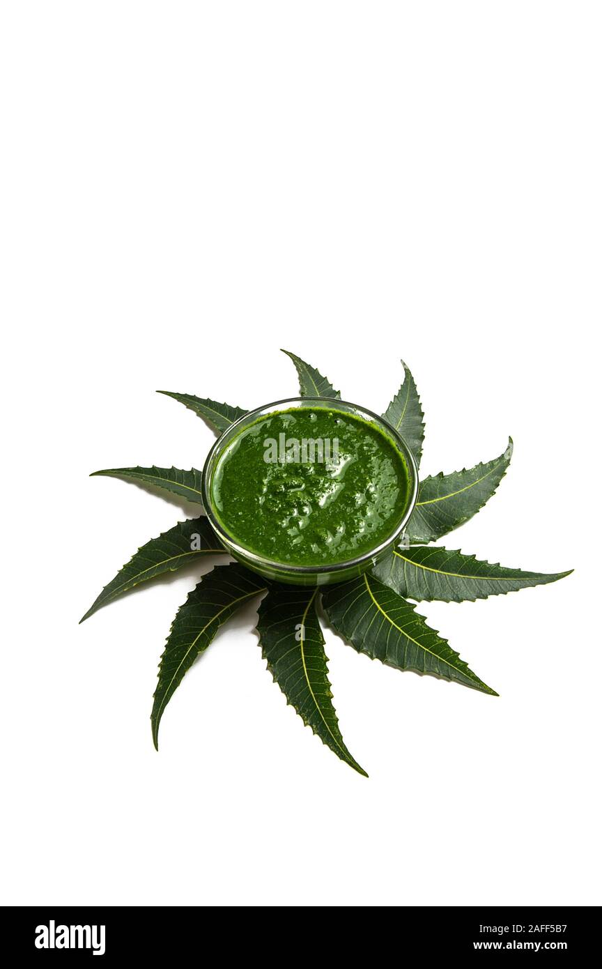 Feuille De Neem – Les Domaines Du Terroir