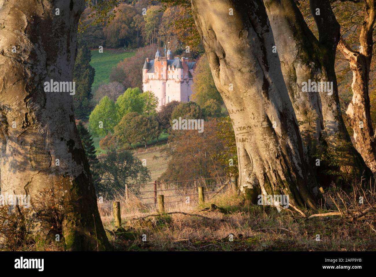 Craigievar Castle en Ecosse sur un matin d'automne ensoleillé vu d'une région de hêtre (Fagus sylvatica) Banque D'Images
