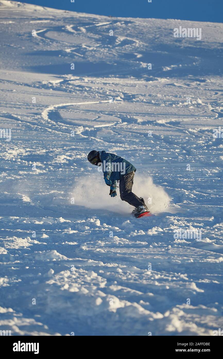 Le snowboard en poudreuse fraîche Banque D'Images