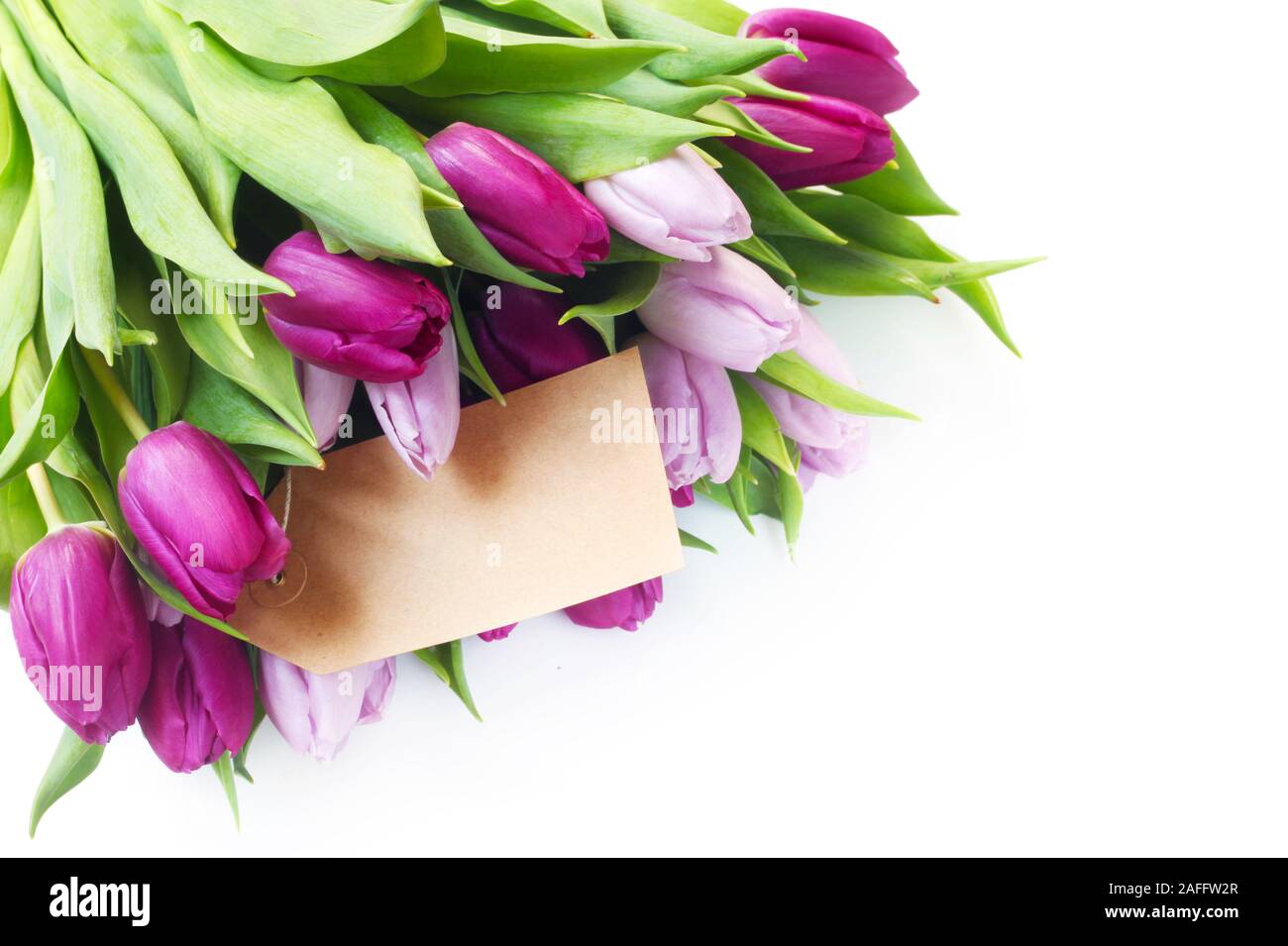 Un bouquet de tulipes avec une étiquette de papier blanc Isolated On White Banque D'Images