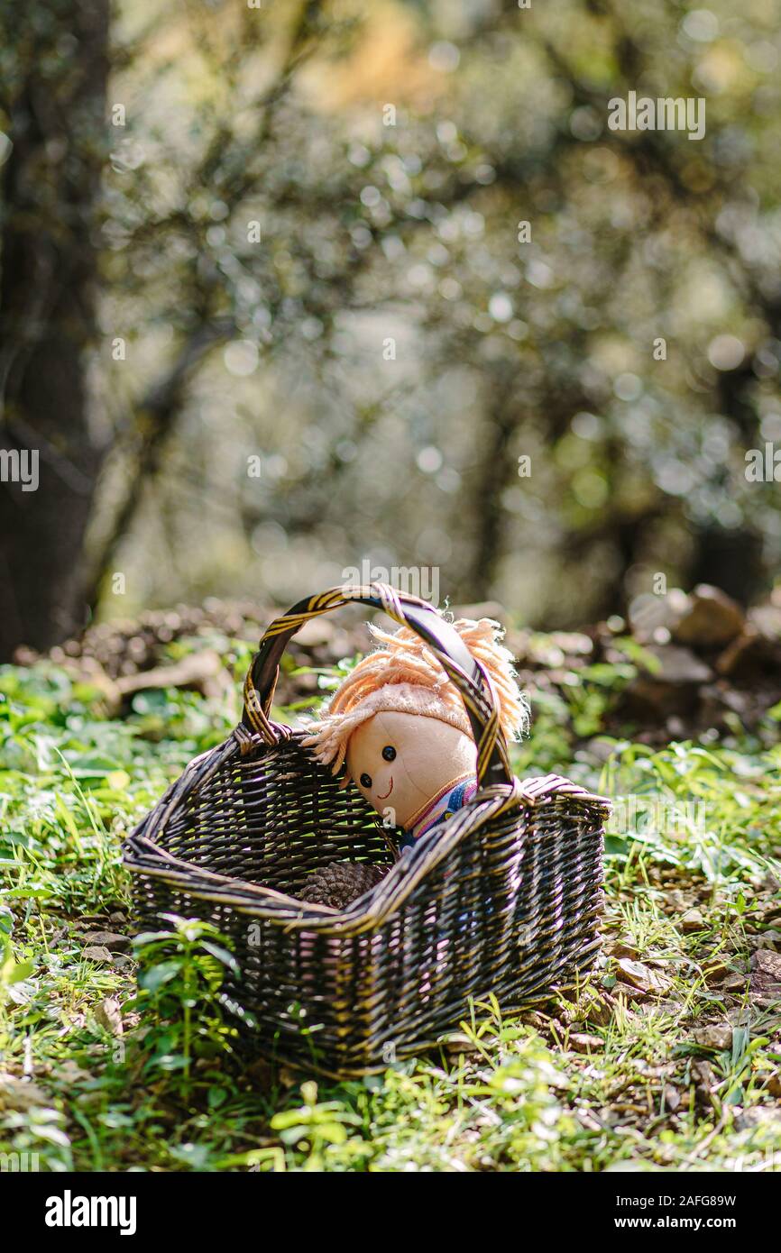 Tissu chiffon Toy doll dans un panier sur un green rural countryside landscape Banque D'Images