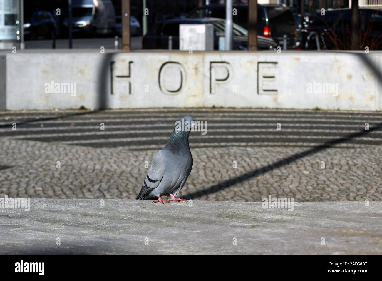 Pigeon perché sur la ville espère Monument à Berlin, Allemagne Banque D'Images