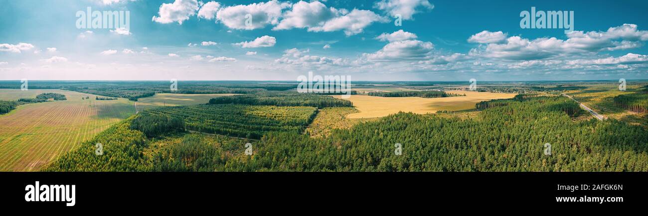 Vue aérienne du paysage agricole avec des champs et forêt en saison de printemps. Beau paysage rural en vue d'ensemble. Banque D'Images