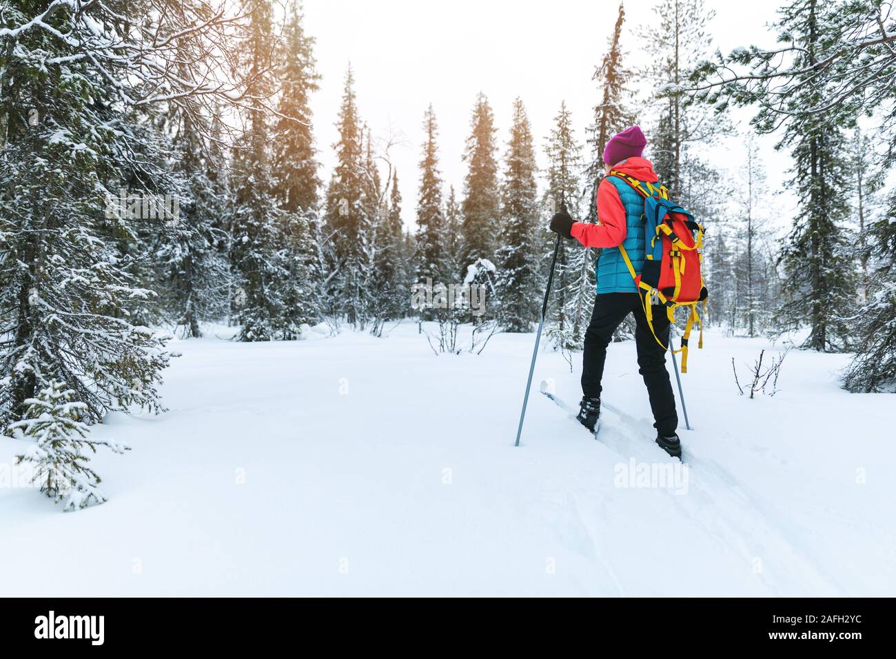 Ski de randonnée dans la neige profonde, Yllas, Laponie, Finlande Banque D'Images