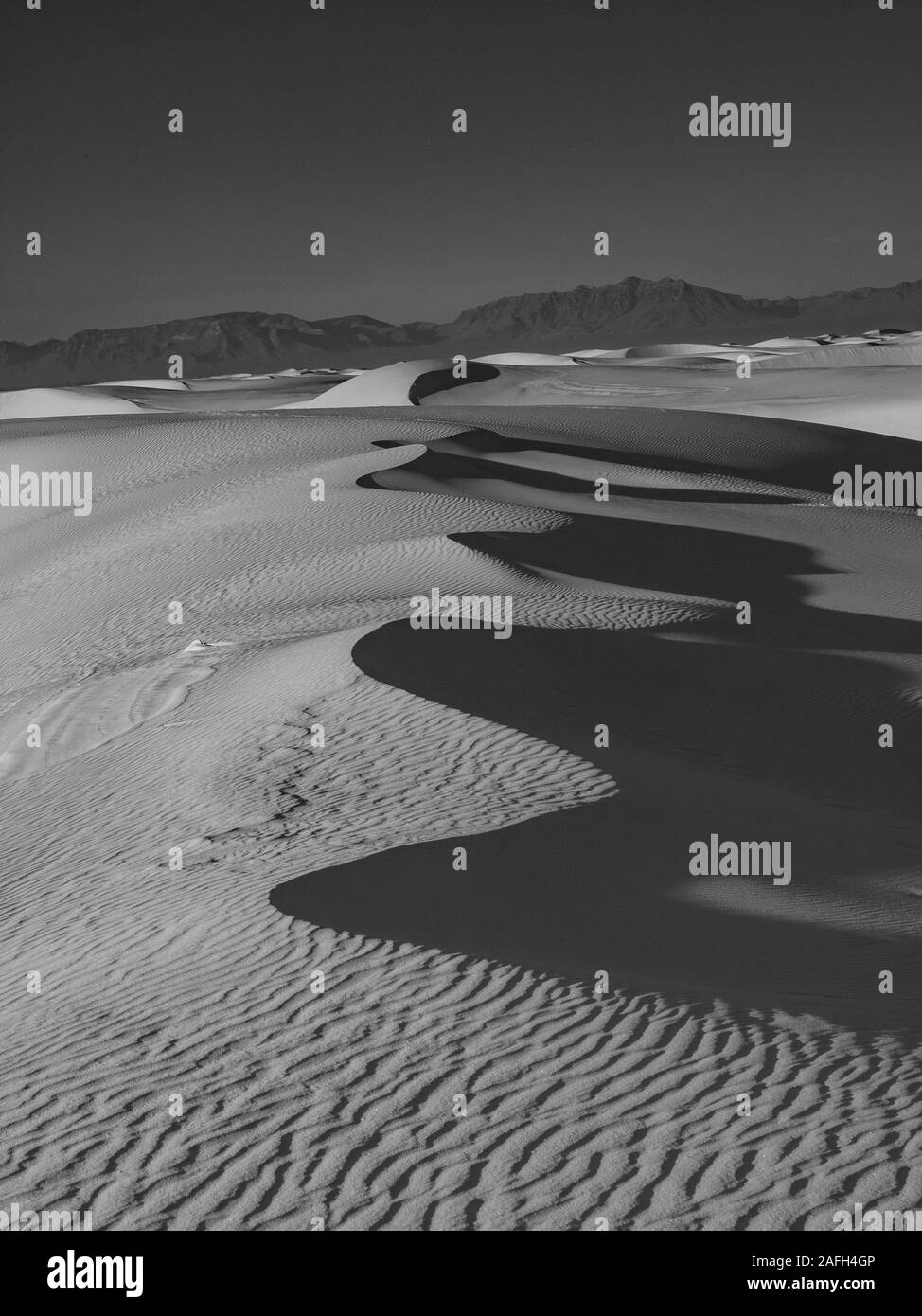 Niveaux de gris du monument national de White Sands dans le Chihuahuan Désert aux États-Unis Banque D'Images