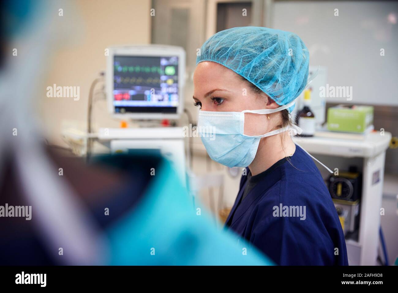 Membre de l'équipe chirurgicale des femmes travaillant sur le patient à l'Hôpital d'opération Banque D'Images