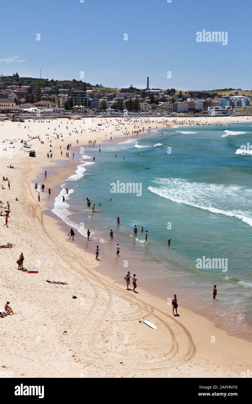 Bondi Beach Sydney, Australie sur une journée de printemps ensoleillée en novembre, Bondi, Sydney, Australie Banque D'Images