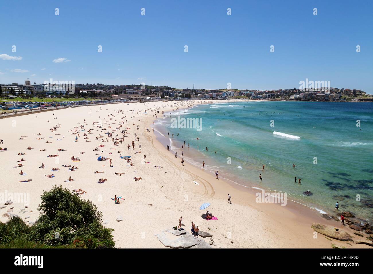 Bondi Beach Sydney, Australie sur une journée de printemps ensoleillée en novembre, Bondi, Sydney, Australie Banque D'Images