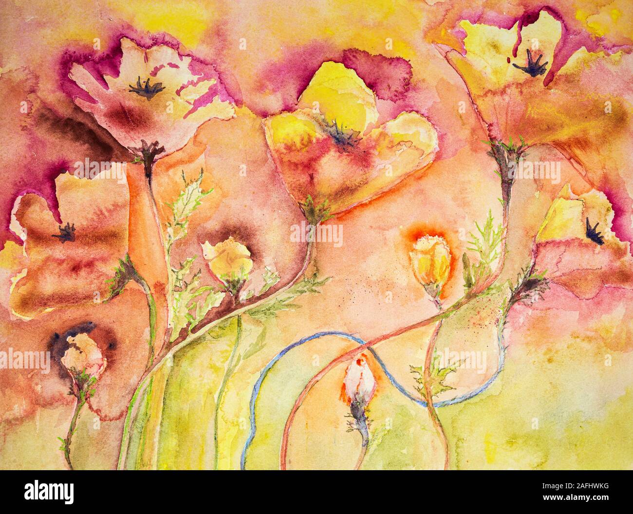 Tourbillon de coquelicots lumineux. La technique du badigeonnage près des bords donne un effet de flou en raison de la modification de la rugosité de surface du papier. Banque D'Images