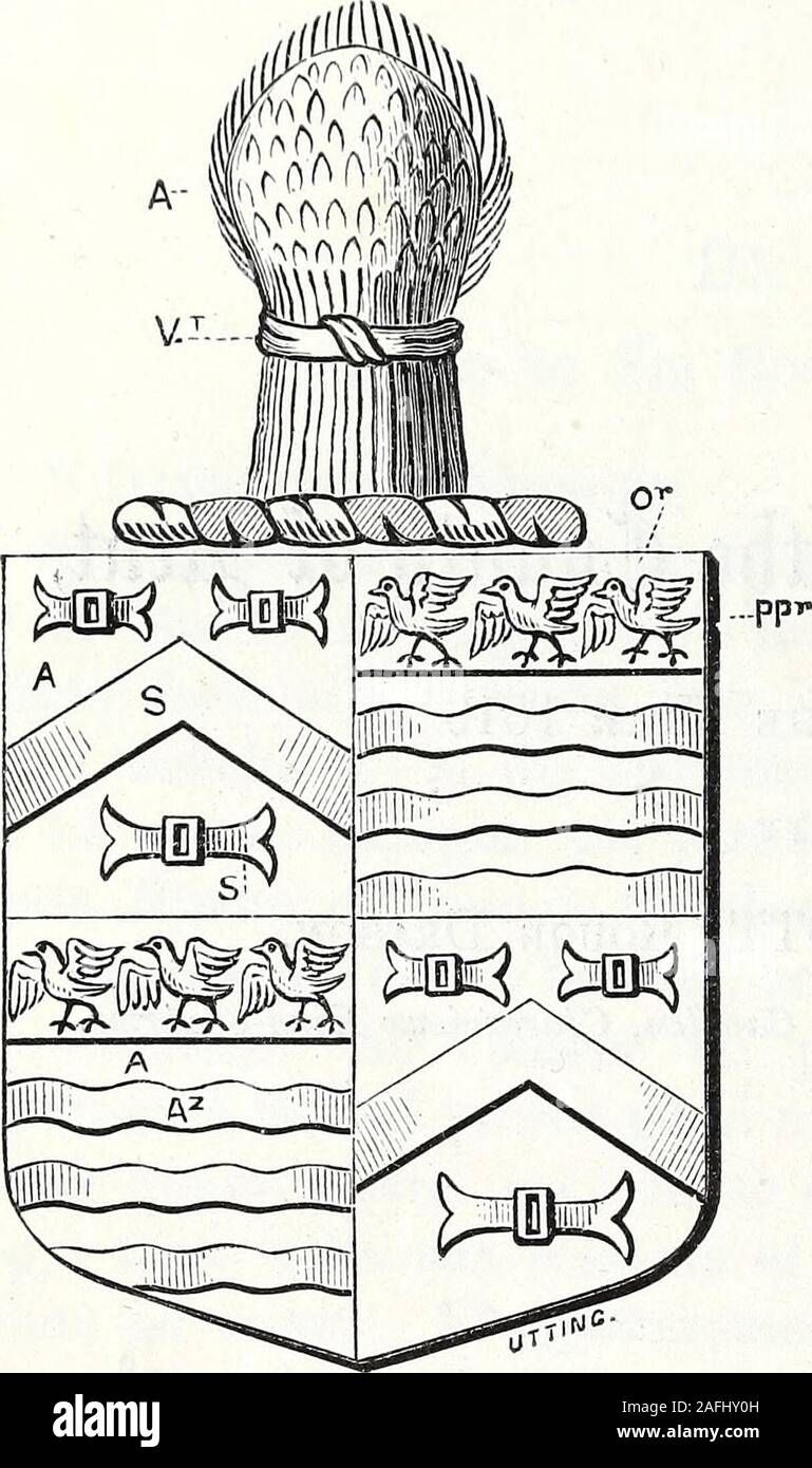 . Archaeologia. cantiana e Beached Margent of the sea. Armes et creasts duqui, I, l'a dit le roi d'armes doe confirme, ratifie et allowto le dit Roger Jacques et Jean son frère ; comme aussi d'Arnold, James de Londres  ; William James, de l'ITAM, dans le comté de Kent, Thomas James, de Strowd-Greene, dans le comté de Middlesex ; Richard James, d'Malandyn, dans le comté d'Essex  ; John James et Georg James, de l'ITAM susdit, sonnes de Roger James susdit, natife de Cliueland posteritye ; et à leur, à beare, VSE, et montre de suite, avec theirdue les différences, selon les lois d'armes et le lawdable custome Banque D'Images