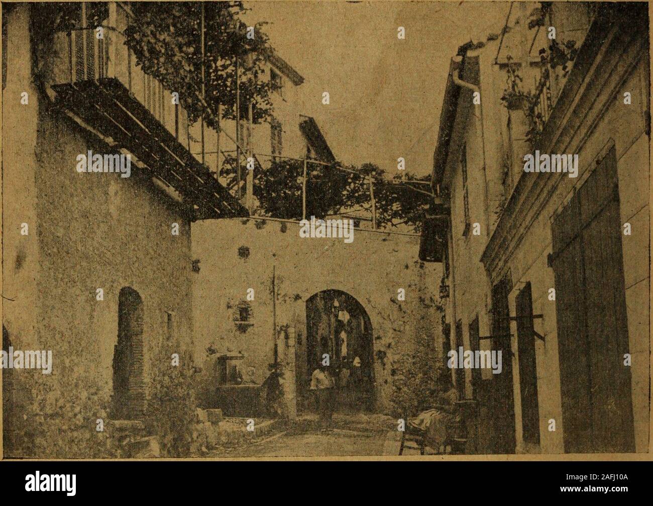 . Revue de viticulture : organe de l'agriculture des régions viticoles. S70 L. FONDARD. LA CULTURE DU SAINT-JEANNET TARDIF préférence des viticulteurs, tous les deux donnent dexcellents résul-tats however. When the Saint-Jeannet tardif était cultivé franc de pied, les viticulteurssaccordaient à lui reconnaître comme nécessaire un terrain profond, à labri de la sécheresse et de lhumidité. Ce moyen terme était indispensable pour lobten-tion de beaux produits. Aujourdhui où tous les plants sont greffés, sur conservecependant ces mêmes sols. Il semble que ce soit les silico-calcaires et les arg Banque D'Images