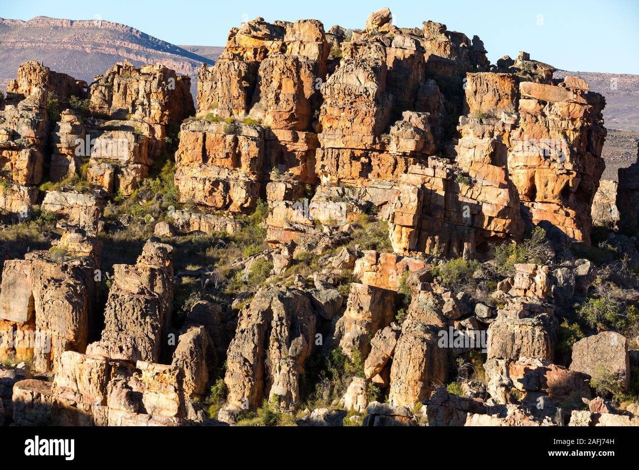 Paysage typique avec les étranges formations rocheuses à Cederberg Wilderness Area, Afrique du Sud Banque D'Images
