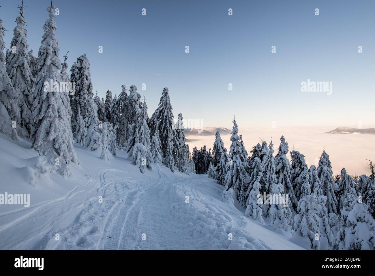 Sentier de randonnée couverts de neige gelée avec des arbres autour des collines et sur l'arrière-plan ci-dessous Lysa hora hill en hiver Moravskoslezske Beskydy montagnes en Cz Banque D'Images