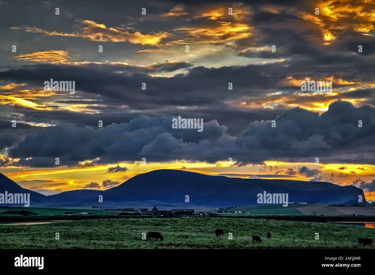 Soirée dramatique ciel au-dessus de terres agricoles de l'île d'Orkney, en Écosse. Banque D'Images