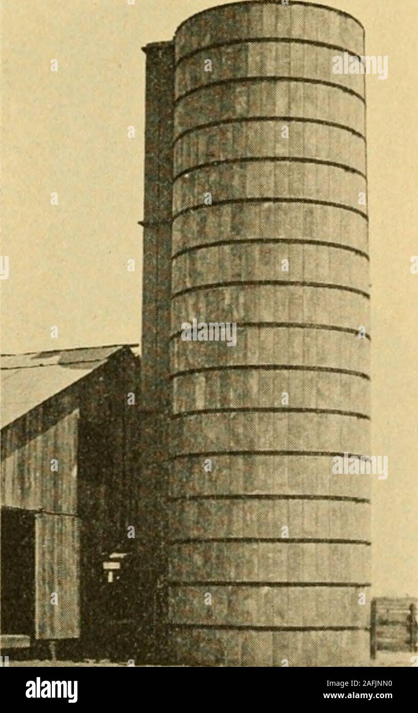 . Les silos en béton discontinue, Brooks ; des brevets. -Crète discontinue des silos. Diverses formes de pièce dans le béton ont été inventé et breveté. Le silo du bâton du béton brevet Brooks est la dernière amélioration qui a été offert. tofarmers Le brevet de Brooks est discontinue béton 30pouces de long, 10 pouces de large et 2l/2 pouces d'épaisseur.Il est fait de béton mélangé dans le proportionof une partie du ciment Portland et partsclean trois sable, bien calibrés. Ils sont réalisés dans un mod-ern usine par des ouvriers expérimentés. La manu-facture de la Brooks béton brevet discontinue est con-condamné à une entièrement équipée complètement pla Banque D'Images