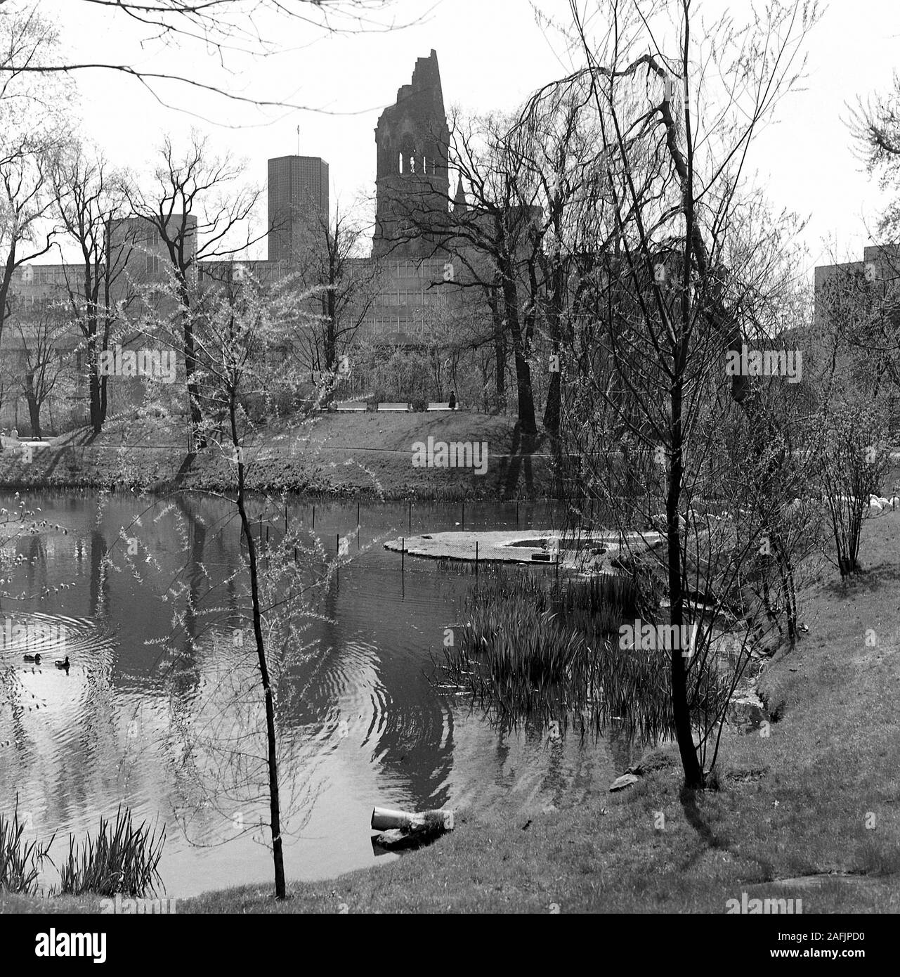 Jardin zoologique de berlin Banque de photographies et d’images à haute
