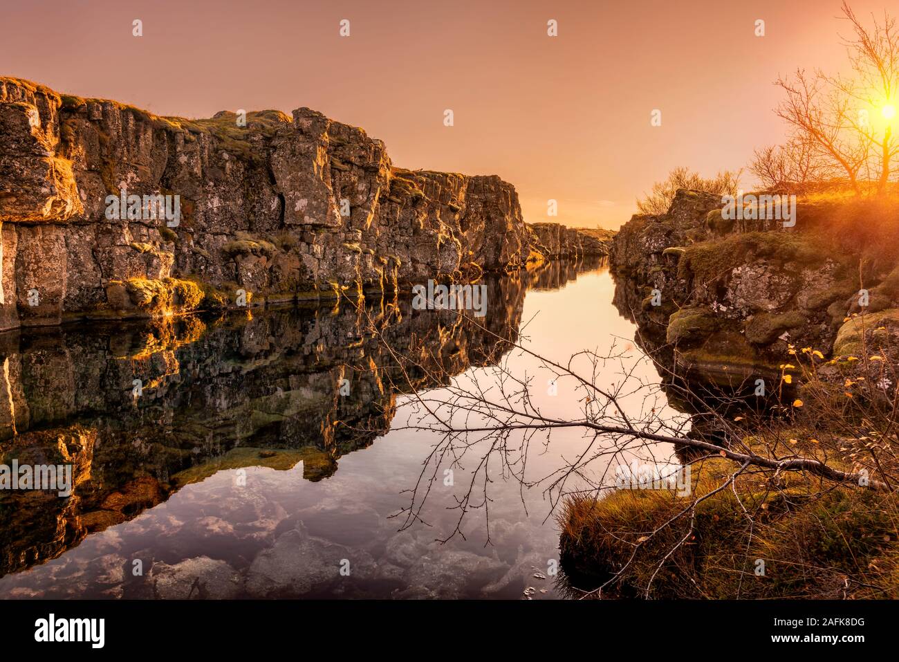 Lave et moss, Mid-Atlantic ridge- Flosagja fissure. Le Parc National de Thingvellir, site du patrimoine mondial de l'UNESCO, de l'Islande. Banque D'Images