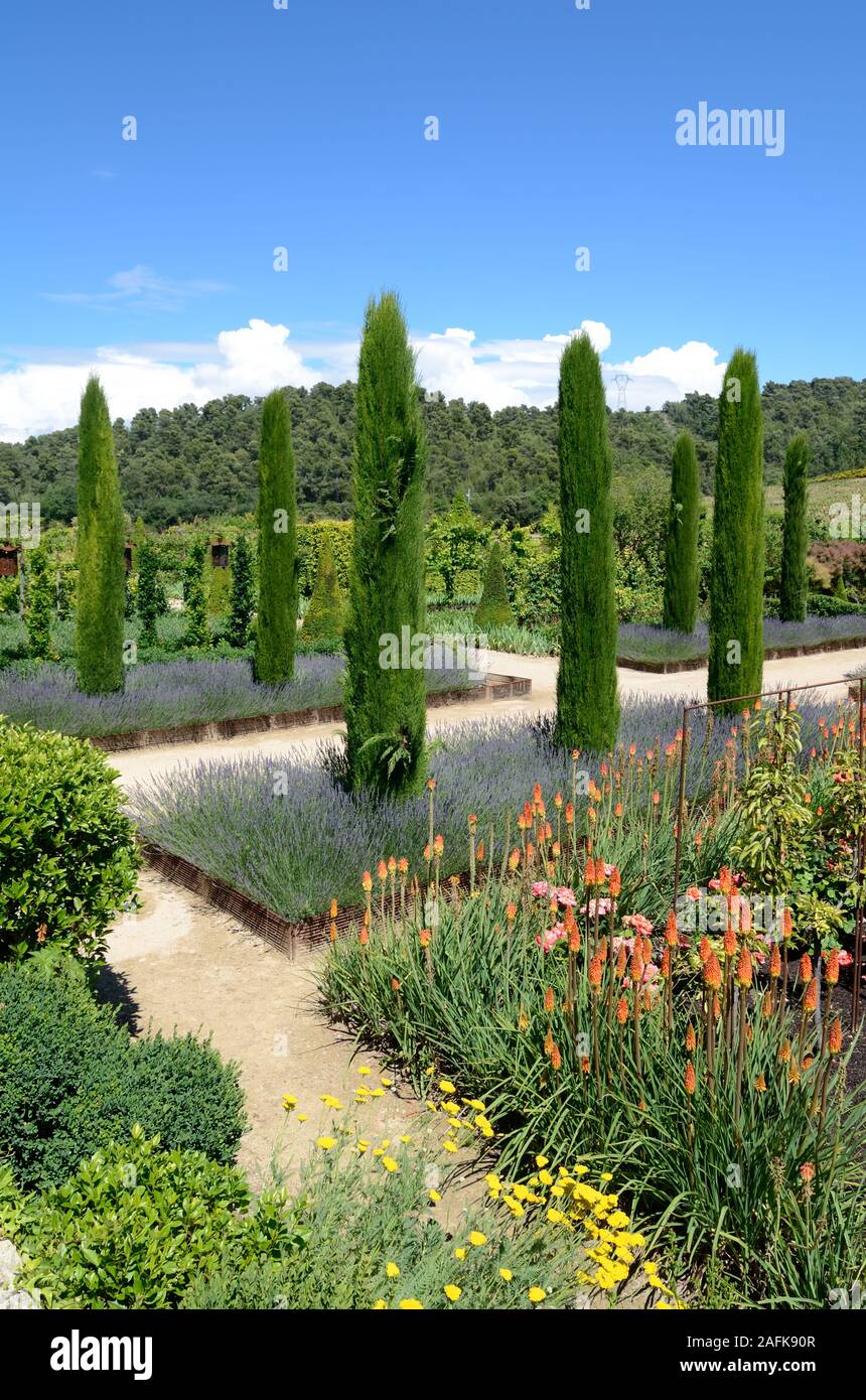 Val Joannis Gardens ou le jardin avec des Cyprès, Lavande Fleurs, Red Hot Poker & parterres formels Pertuis Vaucluse Luberon Provence France Banque D'Images