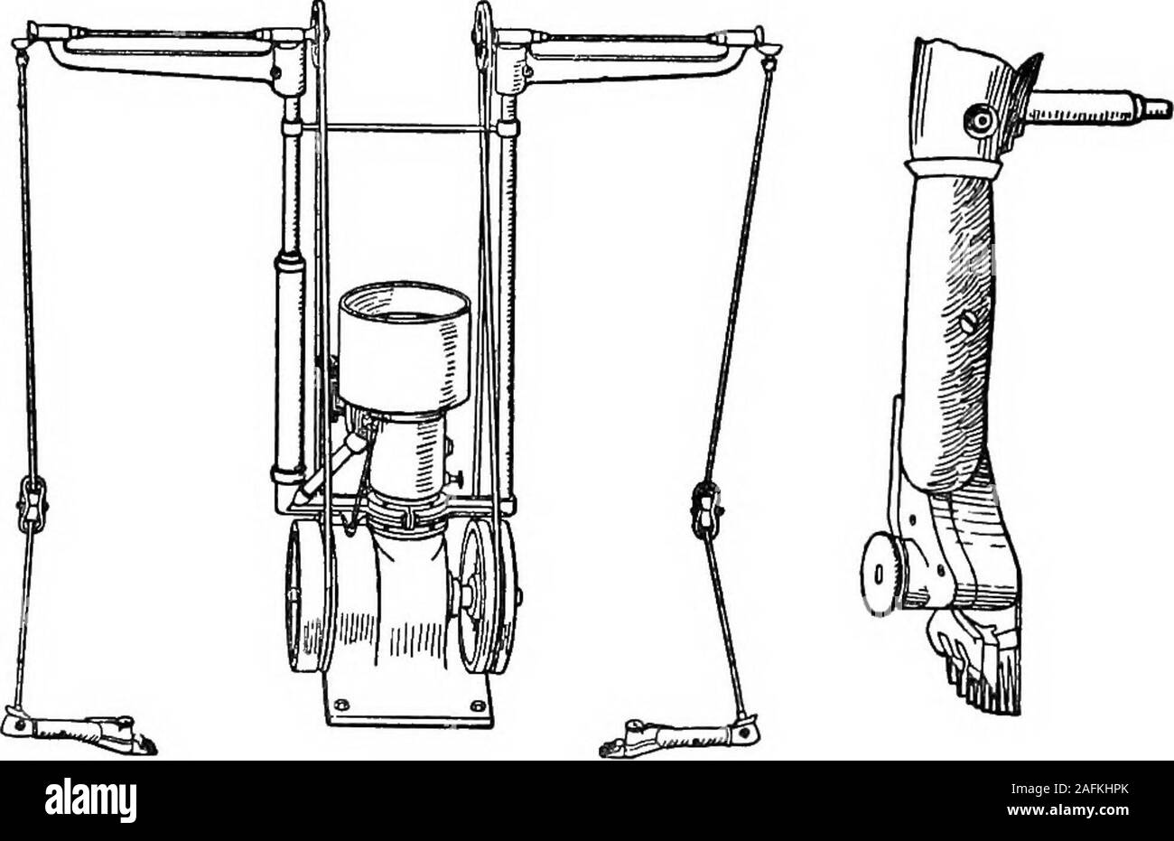 . La cyclopaedia standard de l'agriculture moderne et l'économie rurale, par les plus éminentes autorités et spécialistes sous la direction du professeur R. Patrick Wright ... utile dans l'horticulture, il plantspossessing d'être employé pour construire des vêtements-ings, comme les images, ou pour la formation sur piliers. andpergolas Des exemples connus sont le lierre, VirginianCreeper, Passiflore, Glycine, clématite, bindweeds. Les petits pois, Scarlet, Eunners,Hop et vigne. [W. w.] Clip-fourche. Voir l'ascenseur. L'écrêtage, terme appliqué à du fonctionnement des ateliers de découpe en une forme particulière.L'attaché case if et ar Banque D'Images