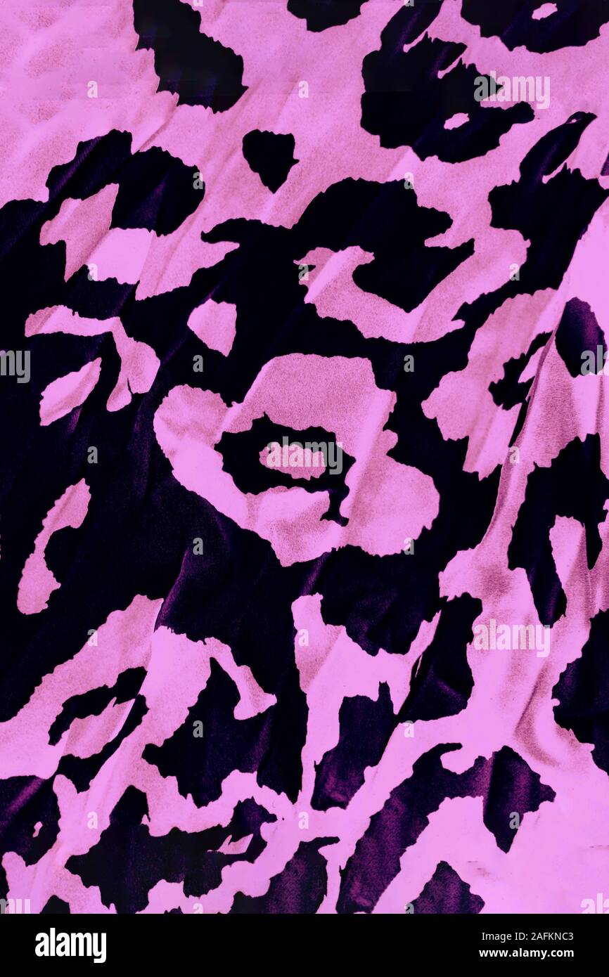 Fond rose et noir avec Leopard print, tendance motif léopard Banque D'Images