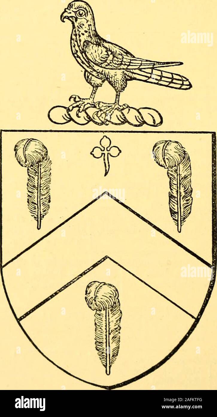 . Pedigrees enregistrés à la visite du comté palatin de Durham faites par William Fleur, Norroy king-de-bras, en 1575, par Richard Saint-george, Norroy king-de-bras, en 1615, et par William Dugdale, Norroy king-de-bras, en 1666. rstonhaugh pMargaret, =, sœur d'Heniy.de Stanhope, à Sir Nich. . OfWiUimontswick Ridleythe bishoprick, KNT.  : Dau. de Hind-marsh. Je rn Lionell, sonne 2. Lancellot. Killedbya,romain 2. Michael^Anne, dau. de tomber de son cheval Fetherston- JE Tho. Trollopeof & heire, 1615. 3. Quand AVilliam 13 ans. haugh. | Thornley, Esq. John Fetherston-^pMargaret, dau. de Banque D'Images