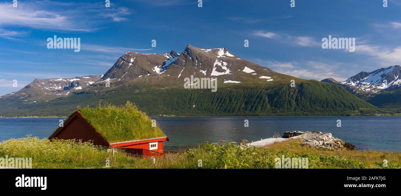 L'ÎLE DE KVALØYA, BAKKEJORD, NORVÈGE - toit de gazon sur l'île de Kvaløya en premier plan, et vue de l'Straumsfjorden fjord et montagnes. Banque D'Images